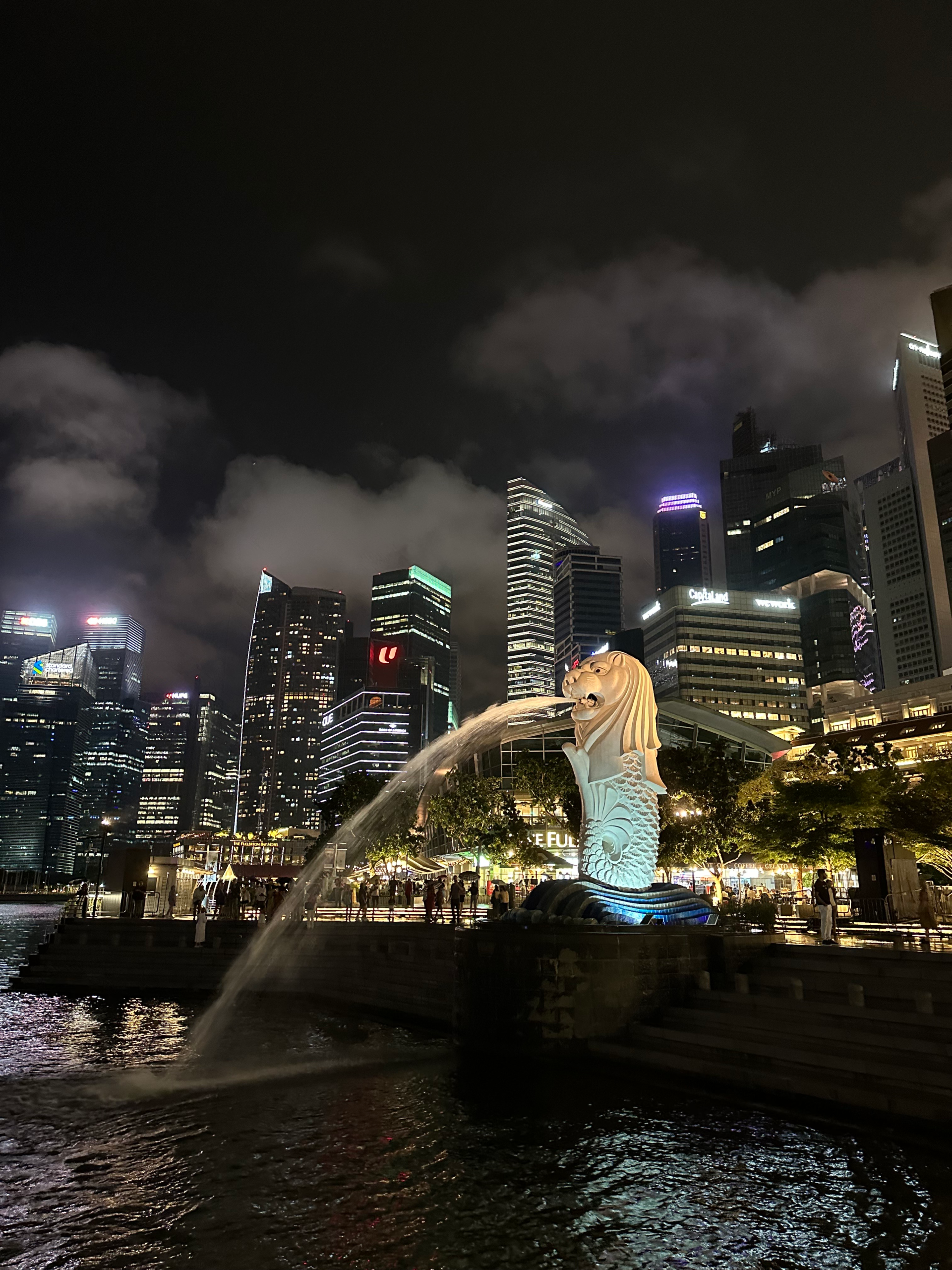 Top 5 Things to Do in Singapore