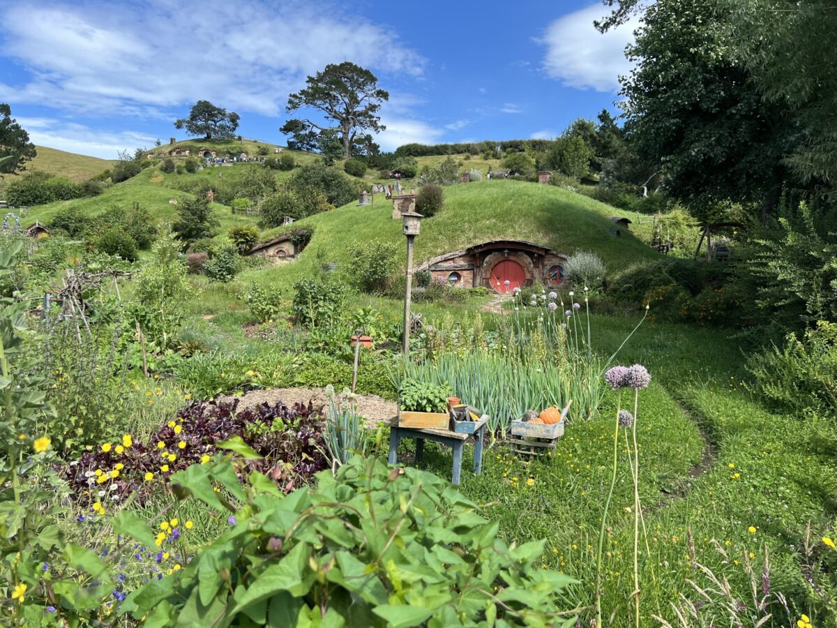 Top 5 Tips for New Zealand