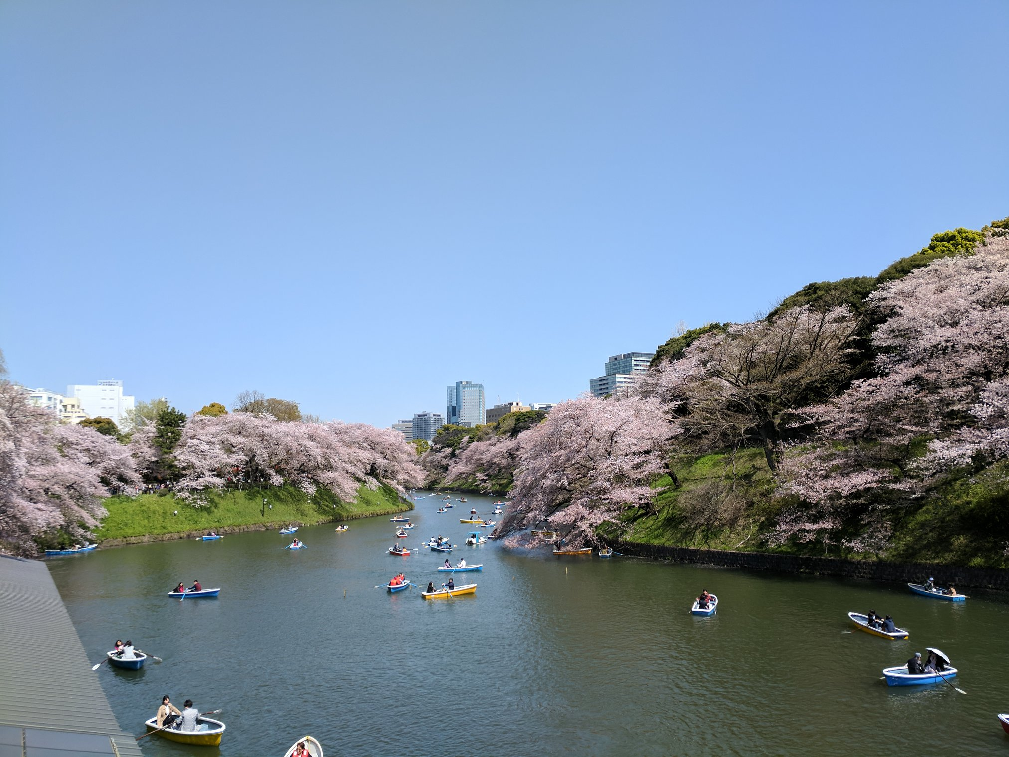 Top 5 Things to Do in Tokyo
