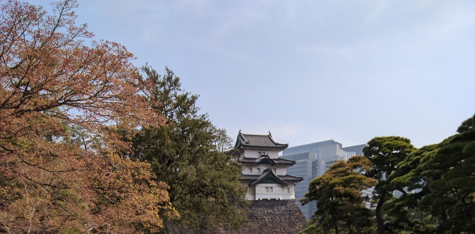 Top 5 Tips for Japan