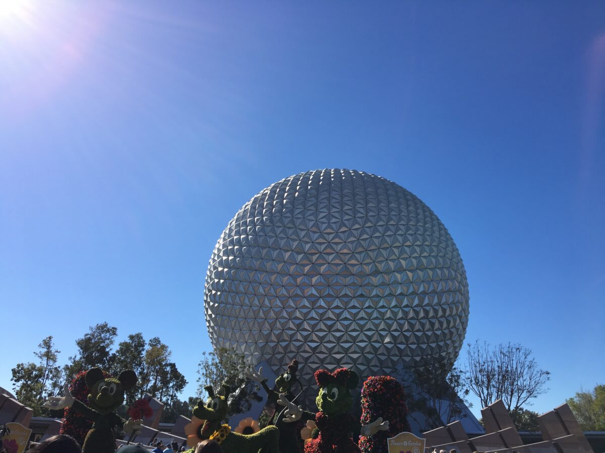 Top 5 Things to Do in Florida