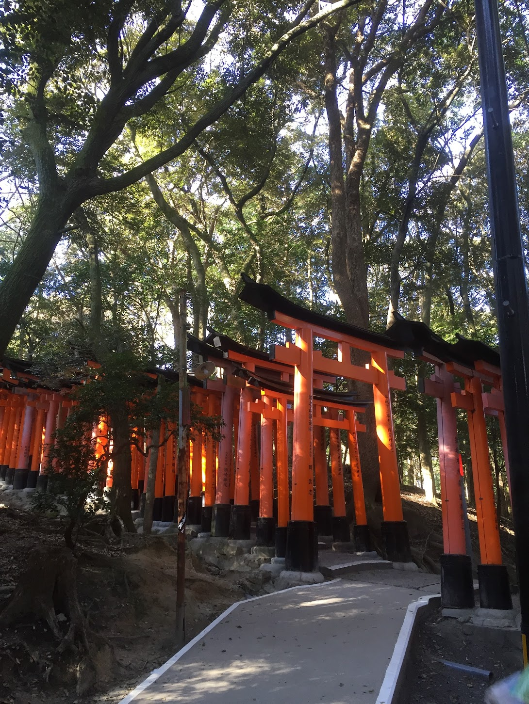 Top 5 Things to Do in Kyoto