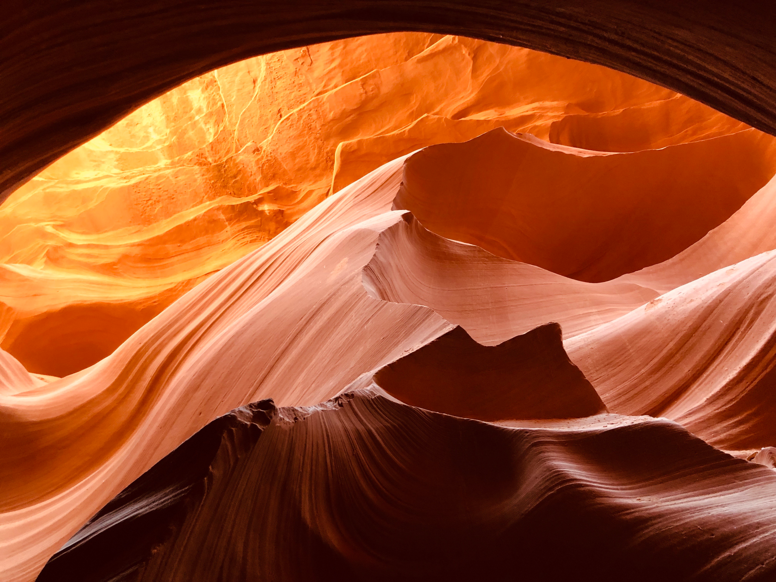 Top 5 Things to Do in Arizona