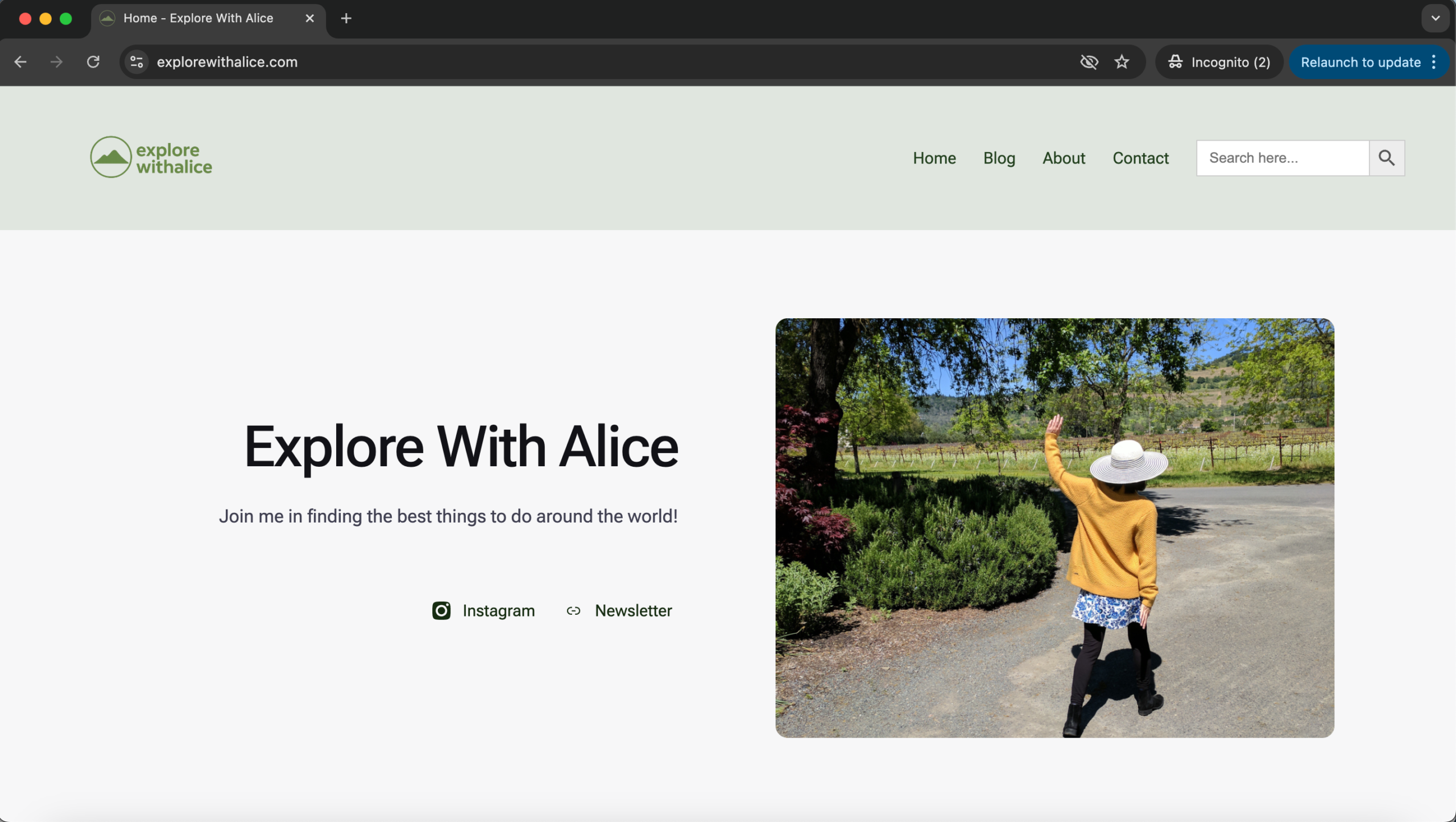 Travel Blog Diary: Week 9 — One More Dollar (Again)!