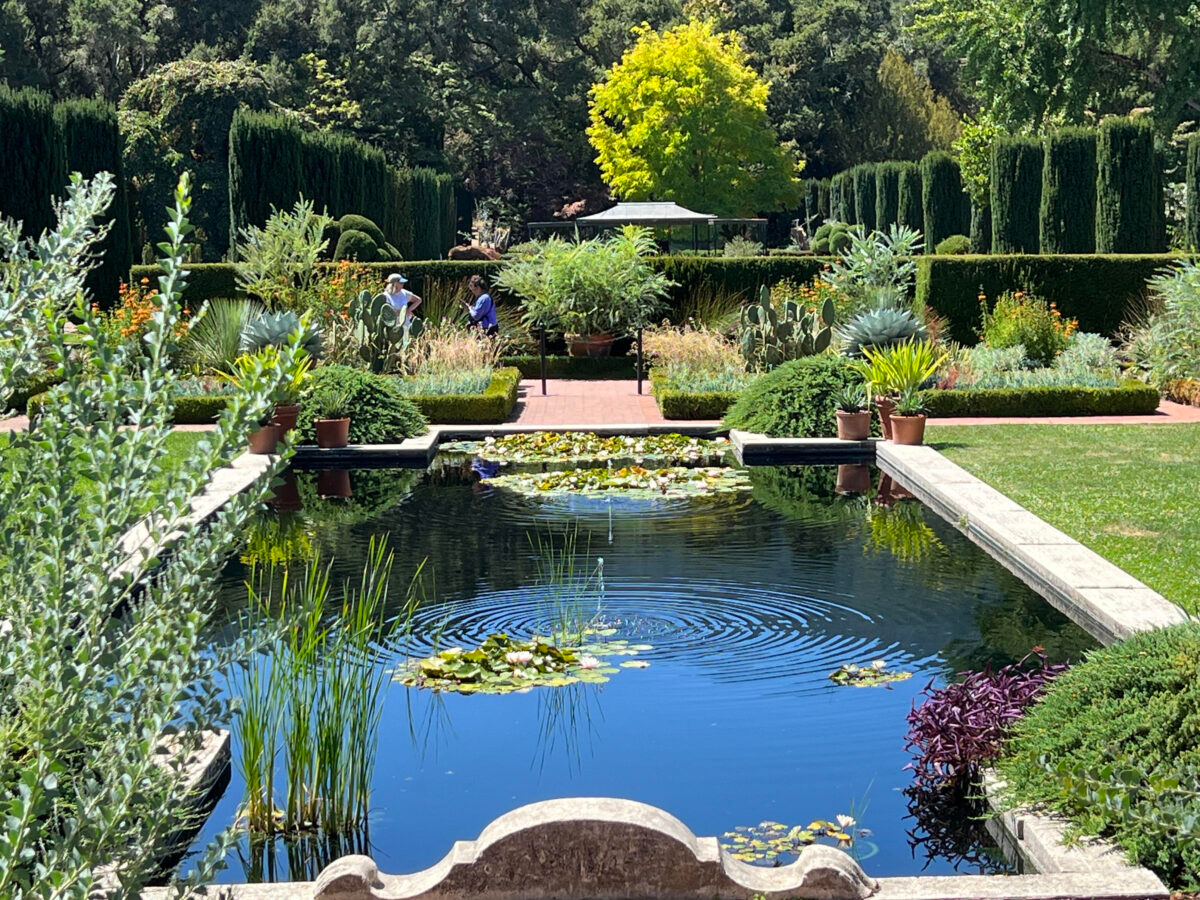 Top 5 Half-day Trips from San Francisco (SF)